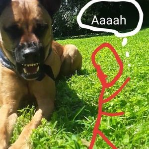 Meet your Posher, William